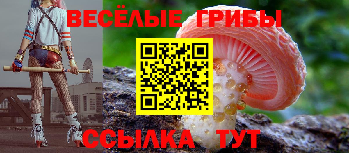 МДМА Мурманск